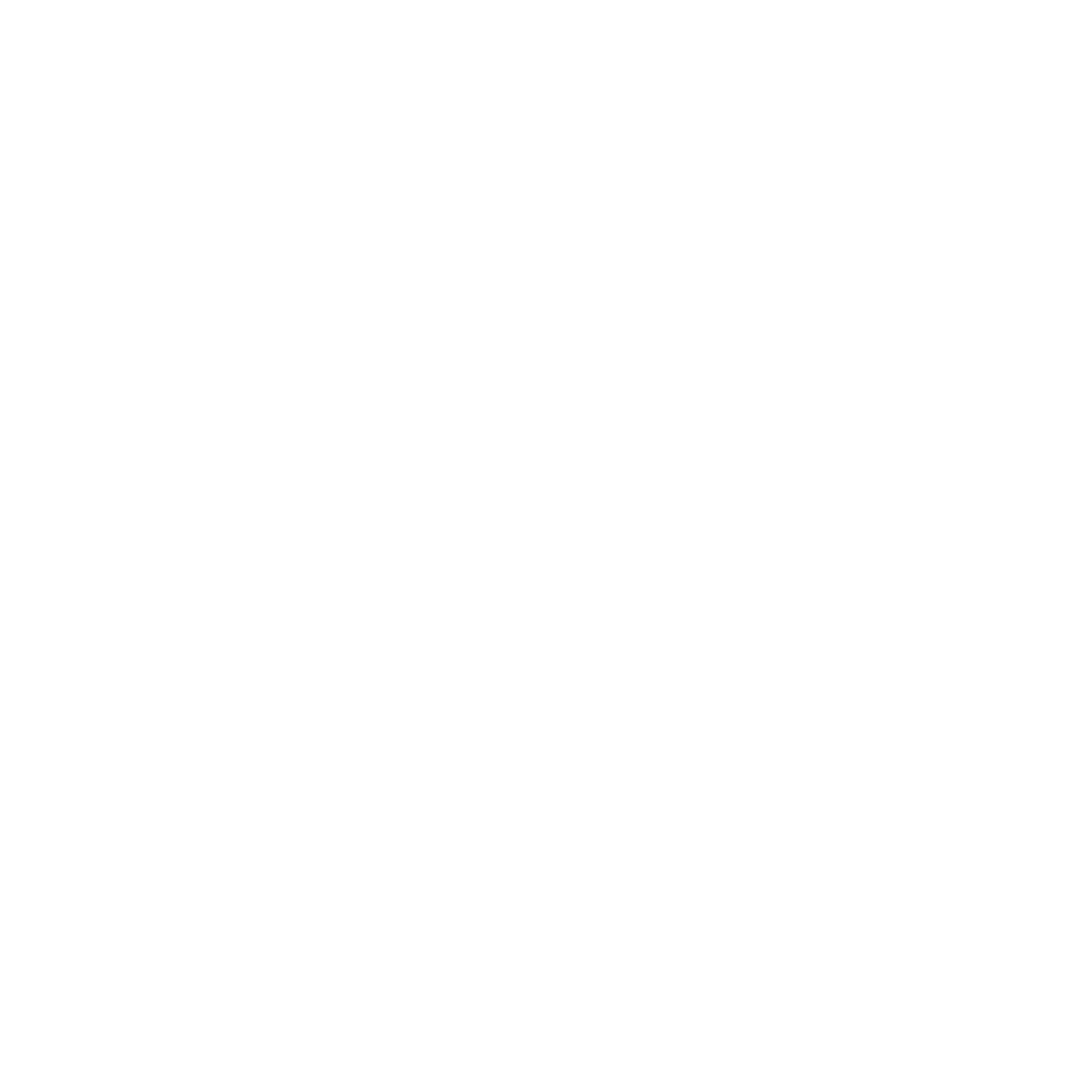 bag_icon